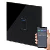 1 Gang Touch Light Switch with WiFi Control