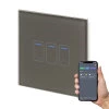 1 Gang Touch Dimmer with WiFi Control