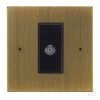 1 Gang Satellite Socket Outlet: Black Insert