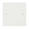 Single Blank Plate: White Insert