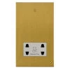 Shaver Socket Outlet 110 | 240 Volts: White Insert