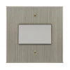 Fan Isolator Switch: White Insert