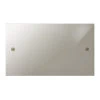 Twin Blank Plate: White Insert